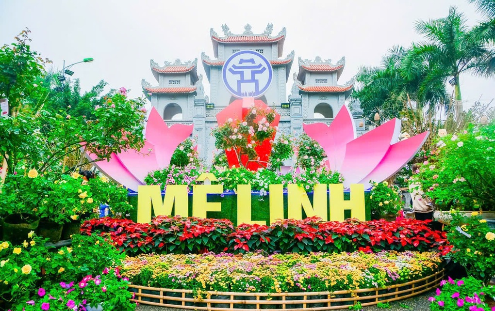 Festival hoa Mê Linh diễn ra trong 4 ngày - 1