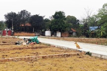 Mua bất động sản thời "sốt giá", nay cay đắng đi làm bảo vệ trả lãi