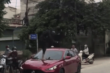 Kính lái ô tô liệu có dễ bị đạp vỡ?