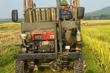 Tranh thủ vụ Đông Xuân, "người vận chuyển" kiếm tiền triệu mỗi ngày