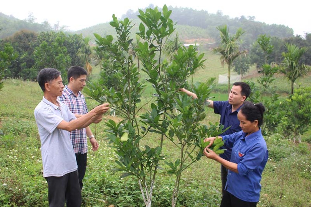 Yên Thủy (Hòa Bình): Hỗ trợ sinh kế để người dân vươn lên thoát nghèo - 1 Yên Thủy (Hòa Bình): Hỗ trợ sinh kế để người dân vươn lên thoát nghèo - 1