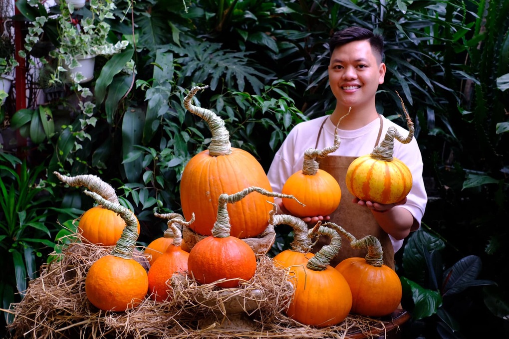 Bí ngô độc lạ tiền triệu, nhà giàu Việt đua nhau săn lùng chơi Halloween - 3 Bí ngô độc lạ tiền triệu, nhà giàu Việt đua nhau săn lùng chơi Halloween - 3