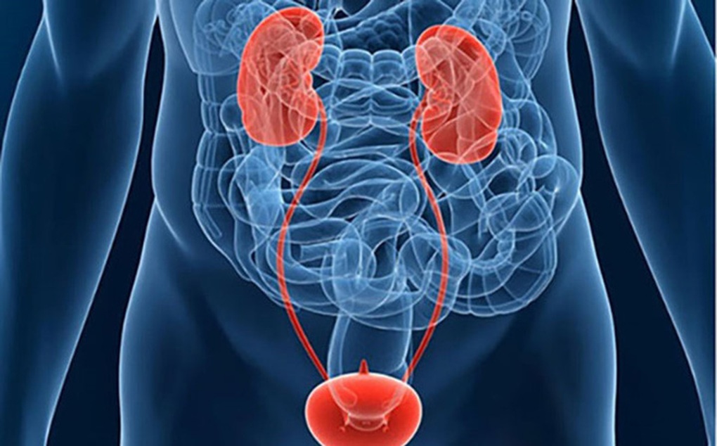 Hai dấu hiệu liên quan tiểu tiện cảnh báo ung thư nguy hiểm - 1 Hai dấu hiệu liên quan tiểu tiện cảnh báo ung thư nguy hiểm - 1