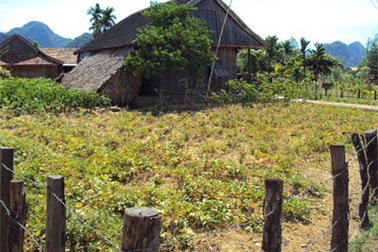 Chia gạo cứu đói ở Quảng Bình: Cán bộ xã cũng “đói”!