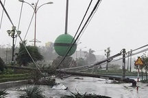 Chủ tịch nước cảm ơn Tổng thống Nga hỗ trợ vùng lũ Việt Nam 5 triệu USD