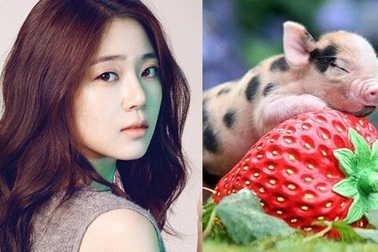 Lý do vì sao đàn bà, đàn ông tuổi Hợi được chọn để lấy làm vợ, làm chồng