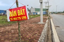 Chuyên gia dự báo những khu vực đất nền sẽ giảm giá