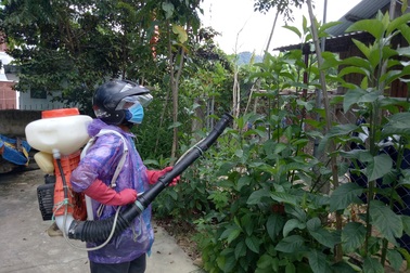 Quảng Nam bùng phát dịch sốt xuất huyết