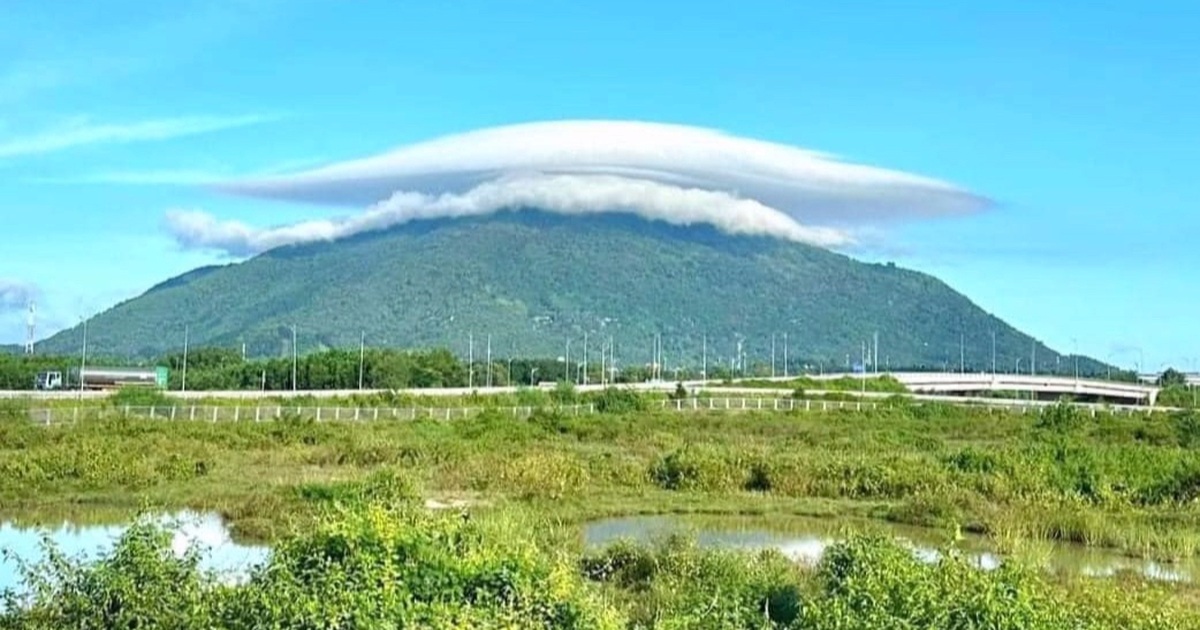 dantri.com.vn