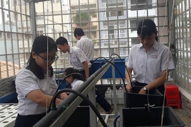 TPHCM: Giáo viên không kiểm tra bài liên tục gây áp lực cho học sinh