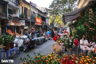 Chợ hoa Hàng Lược mang không khí Tết đặc trưng đất Hà Thành