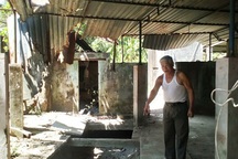 Bình Định: Một triền núi, cả tá doanh nghiệp chia nhau “xẻ thịt”?