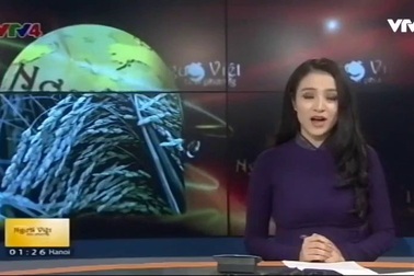 Mùa của cốm Làng Vòng Hà Nội