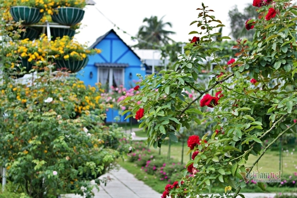 Đàn ông nói về phụ nữ hiện đại: Làm ra tiền và dùng tiền mua dịch vụ - 1