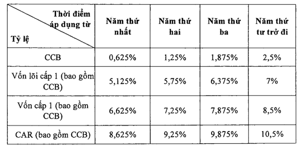 Muốn chia lợi nhuận bằng tiền mặt, ngân hàng phải vượt hàng rào an toàn vốn - 1