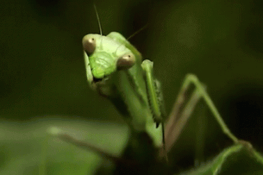 Thử sức với bài kiểm tra nhanh kiến thức khoa học tổng hợp (Kỳ 23)