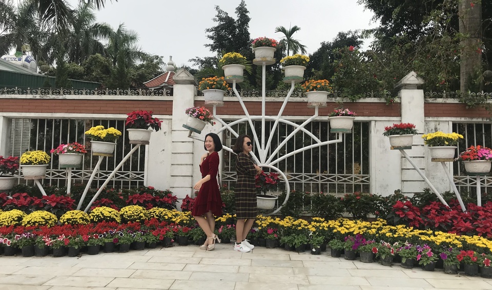 Ấn tượng những đường hoa rực rỡ sắc màu đón Tết ở thành Vinh  - 17