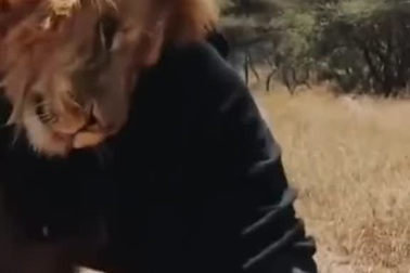 Người đàn ông nô đùa vui vẻ với chúa tể thảo nguyên