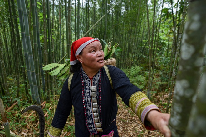Băng rừng theo người Dao đỏ Sapa đi hái lá thuốc tắm thần dược - 15 Băng rừng theo người Dao đỏ Sapa đi hái lá thuốc tắm thần dược - 15