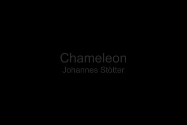 Tác phẩm tắc kè hoa của họa sĩ Johannes Stoetter