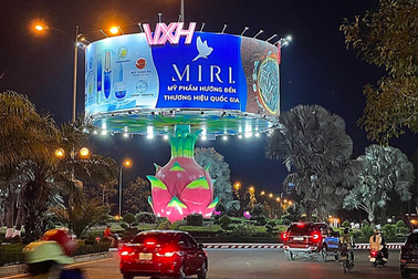 Tranh cãi bản quyền mô hình trái thanh long khổng lồ ở Phan Thiết