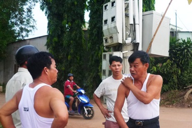 Vụ ong đốt chết người: Cuộc “tổng tấn công” của bầy ong hung dữ