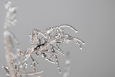 Đổ xô lên Mẫu Sơn ngắm băng tuyết