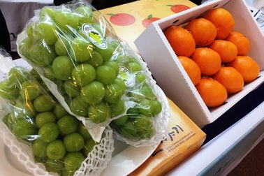 Hàn Quốc muốn bán thêm nhiều nho, lê, táo, nhân sâm…sang Việt Nam