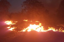 15ha rừng bị thiêu rụi sau 5 giờ hỏa hoạn