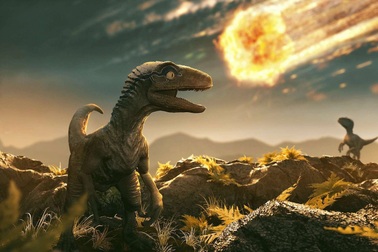 Hóa thạch khủng long chết vào ngày tiểu hành tinh va chạm với Trái Đất