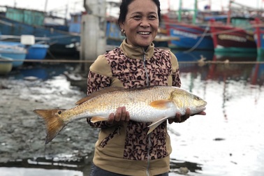 Thêm cặp cá nghi sủ vàng nặng 7kg sa lưới trên sông Loan