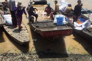 Cá nuôi trên sông La Ngà chết trắng sau trận mưa lớn