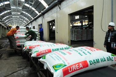 "Huyền thoại" Đạm Hà Bắc mở rộng đầu tư, lỗ liên tiếp trong vài năm