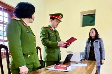 Cựu Chủ tịch Công ty dược Bảo Châu bị khởi tố thêm tội danh