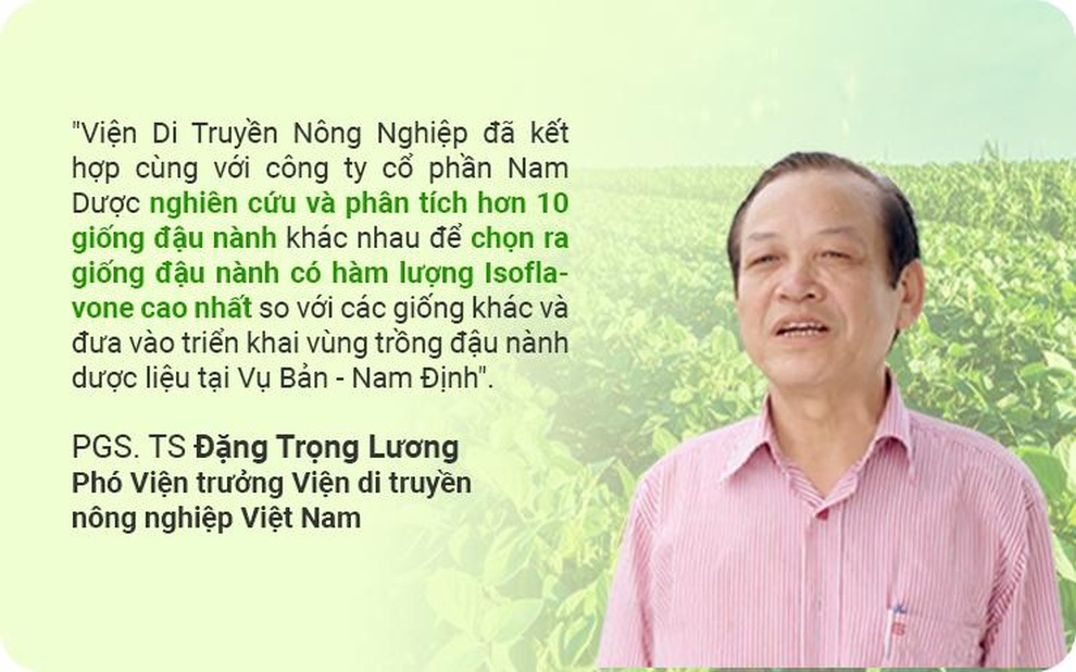 Bảo Xuân Gold phiên bản mới với công thức cải tiến cho hiệu quả cao hơn - 2 Bảo Xuân Gold phiên bản mới với công thức cải tiến cho hiệu quả cao hơn - 2