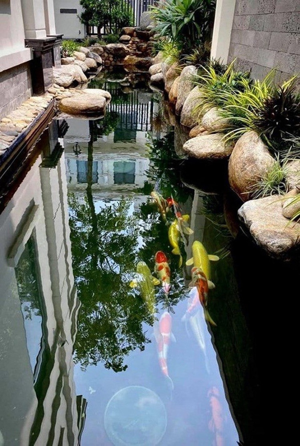 Khám phá căn biệt thự sang trọng, có hồ cá koi rộng lớn của Thanh Vân Hugo - 8 Khám phá căn biệt thự sang trọng, có hồ cá koi rộng lớn của Thanh Vân Hugo - 8