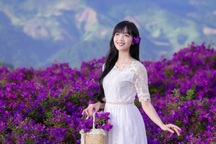 Du lịch Mộc Châu, khách mê mẩn chụp ảnh, săn mây ở đồi sim