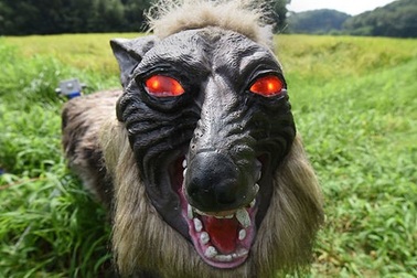 Một robot đáng sợ dự định đưa vào sản xuất hàng loạt để bảo vệ cây trồng nông nghiệp