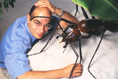 Suýt chết vì bị kiến độc cắn, nhà văn viết bộ tiểu thuyết nổi tiếng