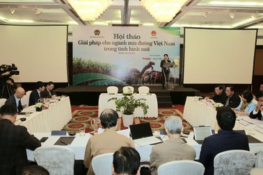 Mía đường hết thời: Chỗ "ế" 90%, nơi chạy ăn từng bữa!