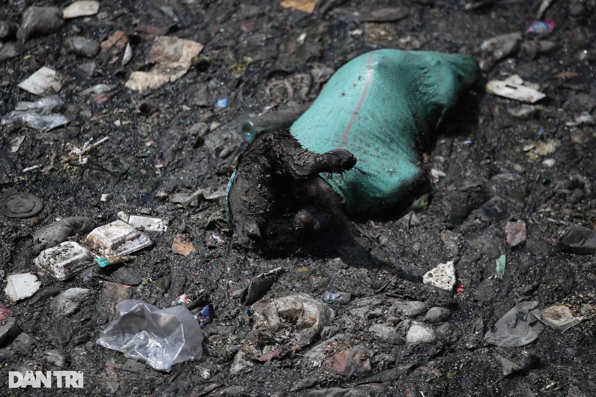 Hàng trăm tấn rác tại Kênh Nước Đen ở TPHCM đã được dọn sạch - 7
