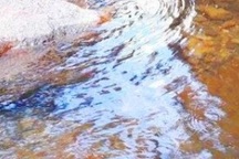 Lời khai của nữ nghi phạm sát hại người tình dã man