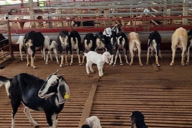 Ninh Bình: Nhiều chính sách thiết thực, hiệu quả hỗ trợ giảm nghèo