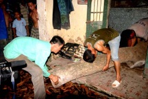 Đột phá hai cơ sở tàng trữ hàng tấn gỗ sưa tươi