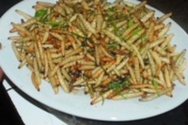 Đặc sản món sâu măng của người Mường Lát