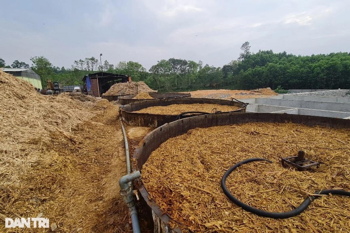 Dừng hoạt động nhà máy xả thải nhuộm đen dòng sông, cá chết hàng loạt - 2 Dừng hoạt động nhà máy xả thải nhuộm đen dòng sông, cá chết hàng loạt - 2