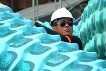 Hàng trăm công nhân tất bật thi công đường hoa Tết lớn nhất TPHCM