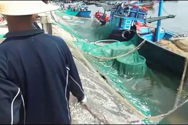 Ngư dân bất ngờ trúng đậm cá cơm trên Vịnh Nha Trang
