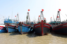 Tiền dầu đội thêm 3.700 tỷ đồng/tháng, nhiều tàu cá ngừng hoạt động