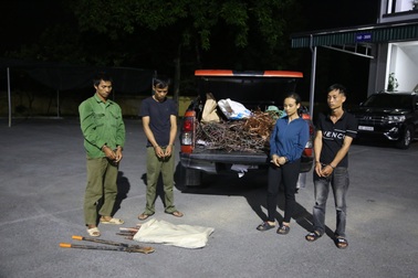 Bắt nhóm đối tượng trộm cắp cáp điện trên cao tốc Vân Đồn - Móng Cái